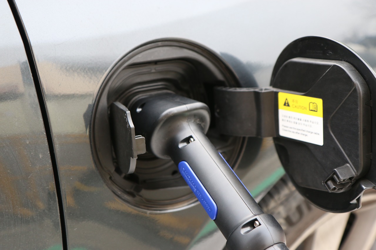 Conector de carga conectado a un coche eléctrico